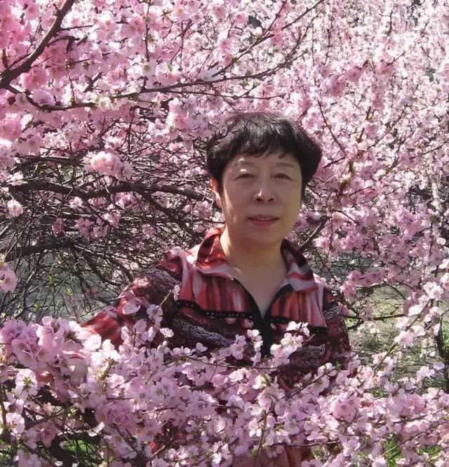鷨ʦûдիţлʦ
