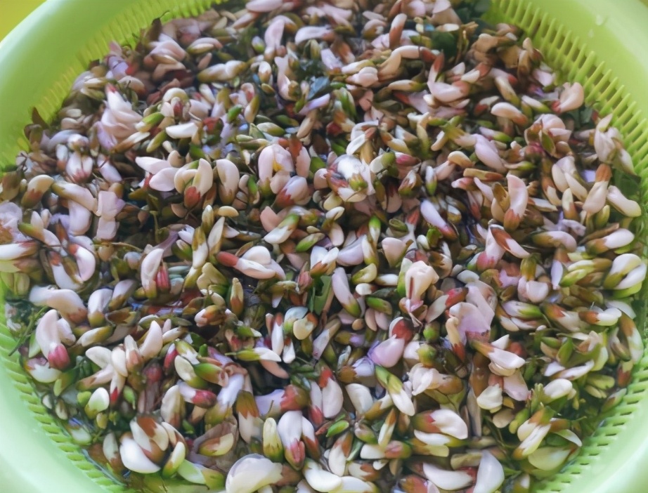 圖片[2]-槐花麥飯的做法步驟圖 4月應季美食-起舞食譜網