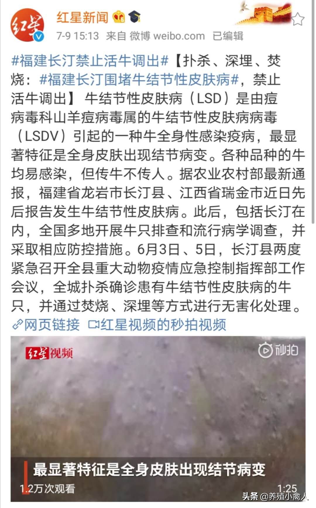 突发怪病，福建长汀活牛被限制调出