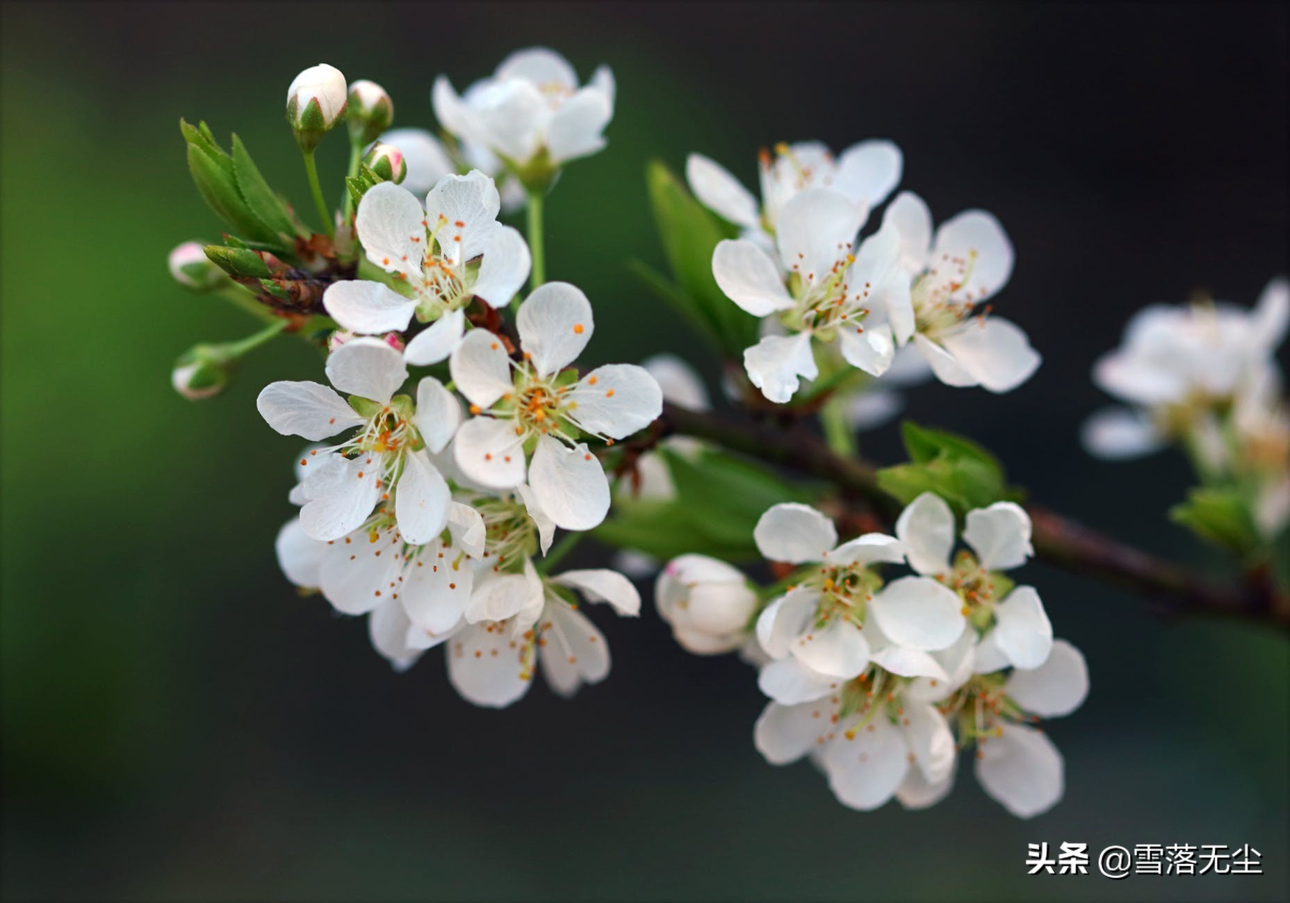 一個家若想越過越好，關鍵看一點