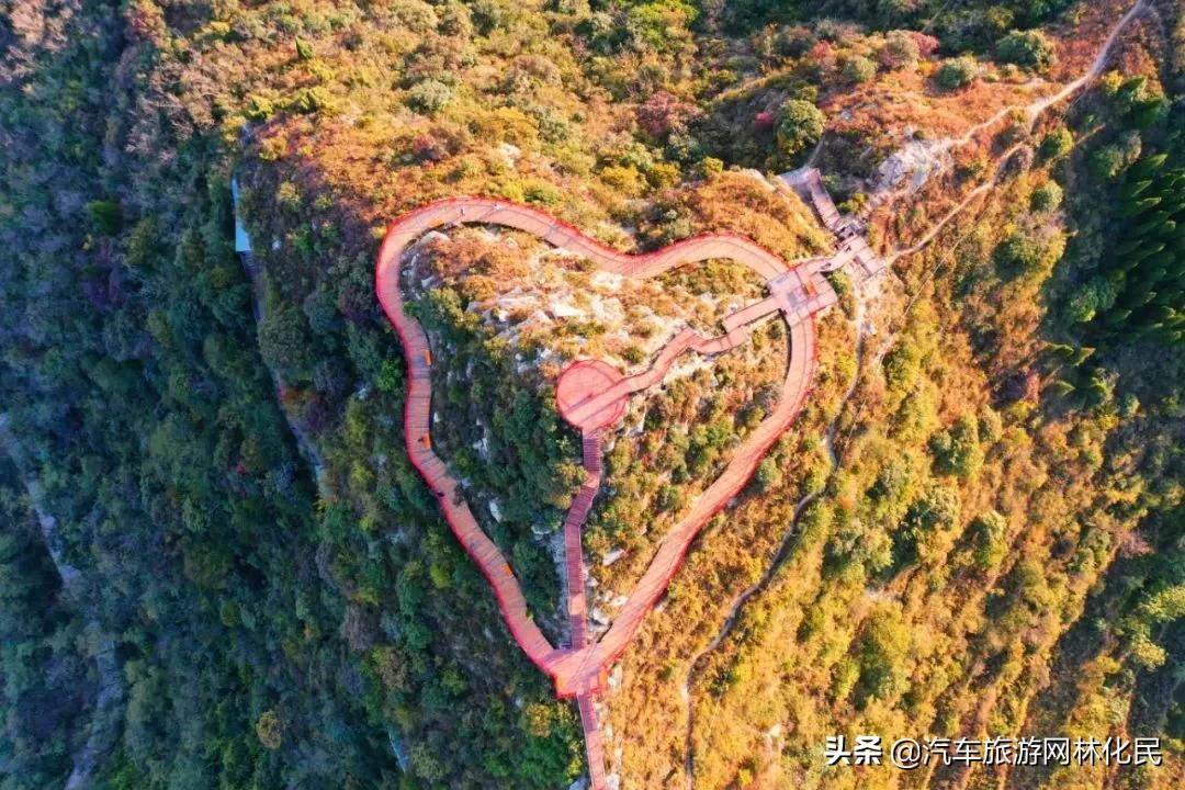 绿水青山带笑颜鲁商 • 红叶柿岩纯玩一日游