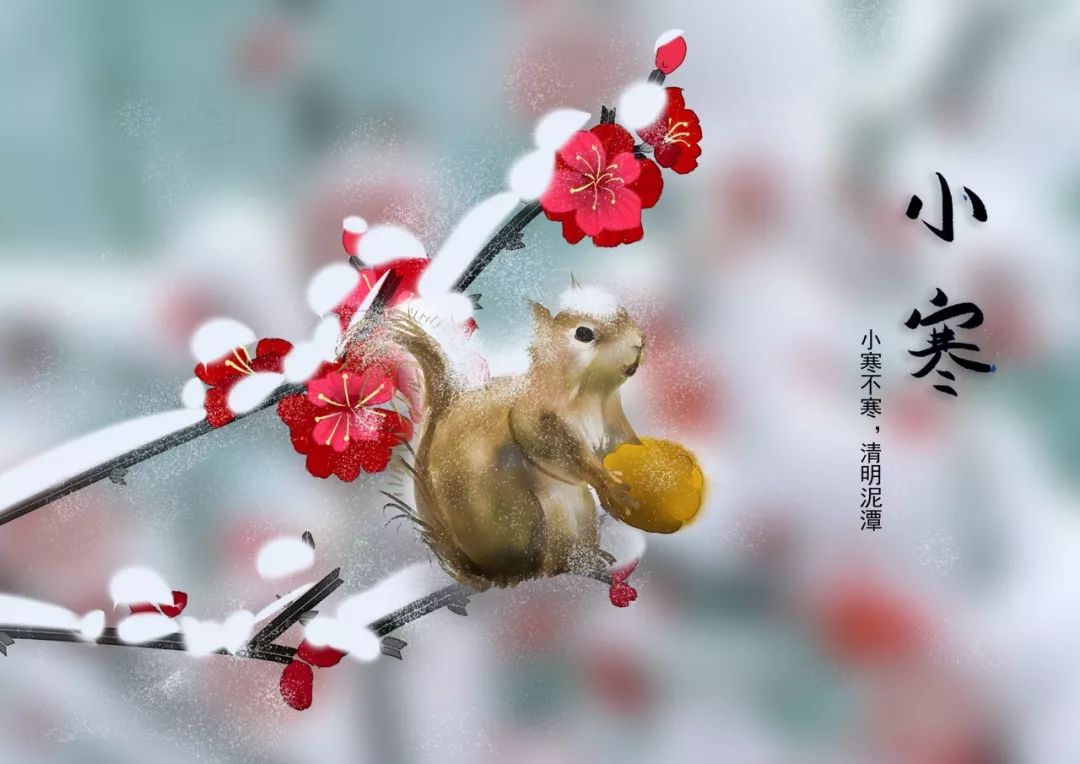今日小寒｜小寒已至，愿你天寒人不寒