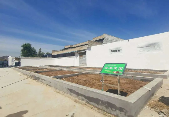 江苏丰县：旧楼换新颜 荒地变菜园 群众齐点赞