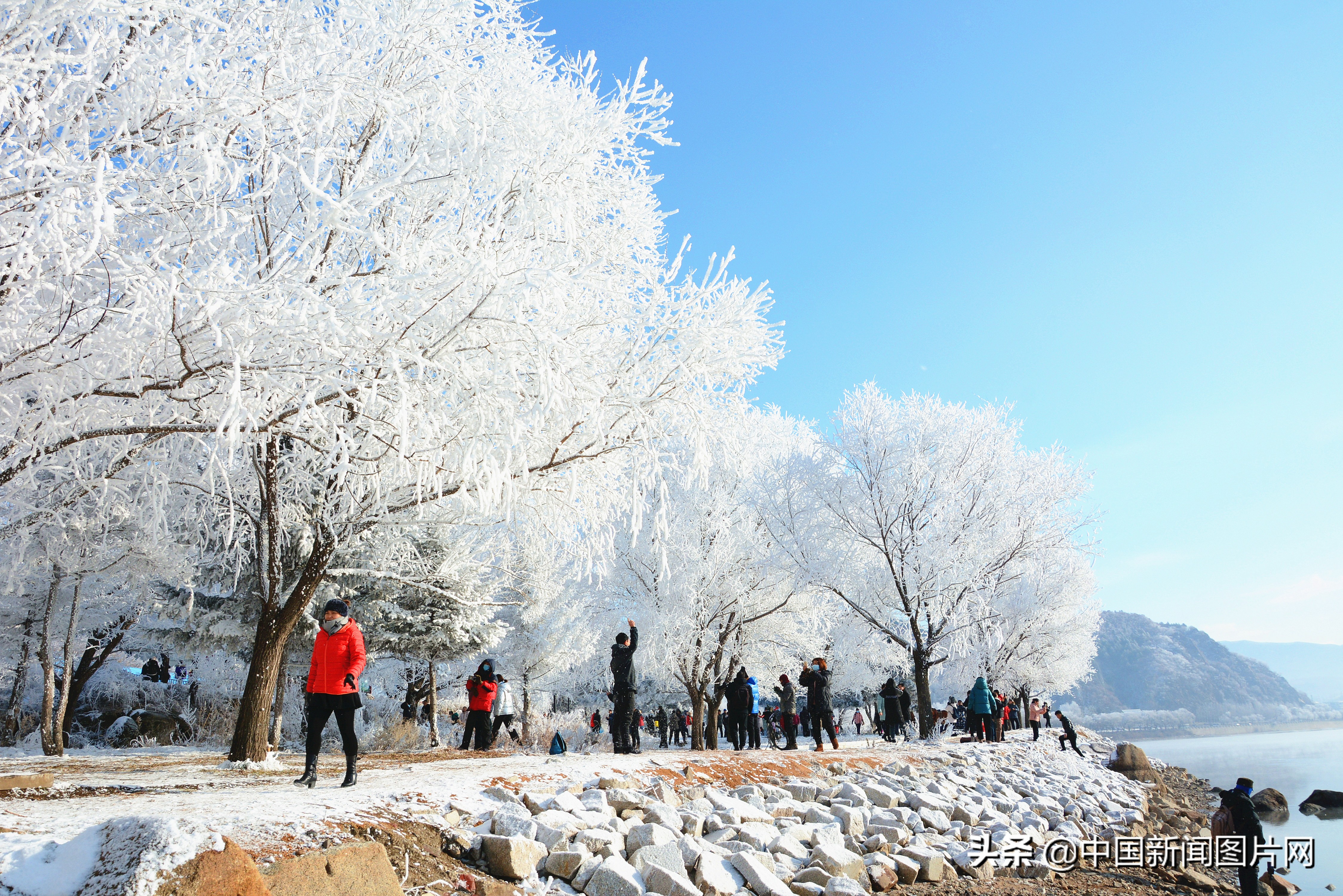吉林 松花江畔霧凇美景吸引遊人 中國熱點