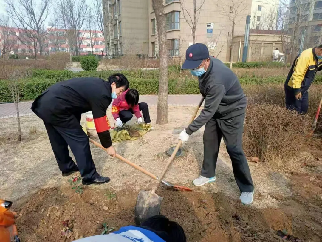 「泰华生活服务·植树节」让我们一起行动起来