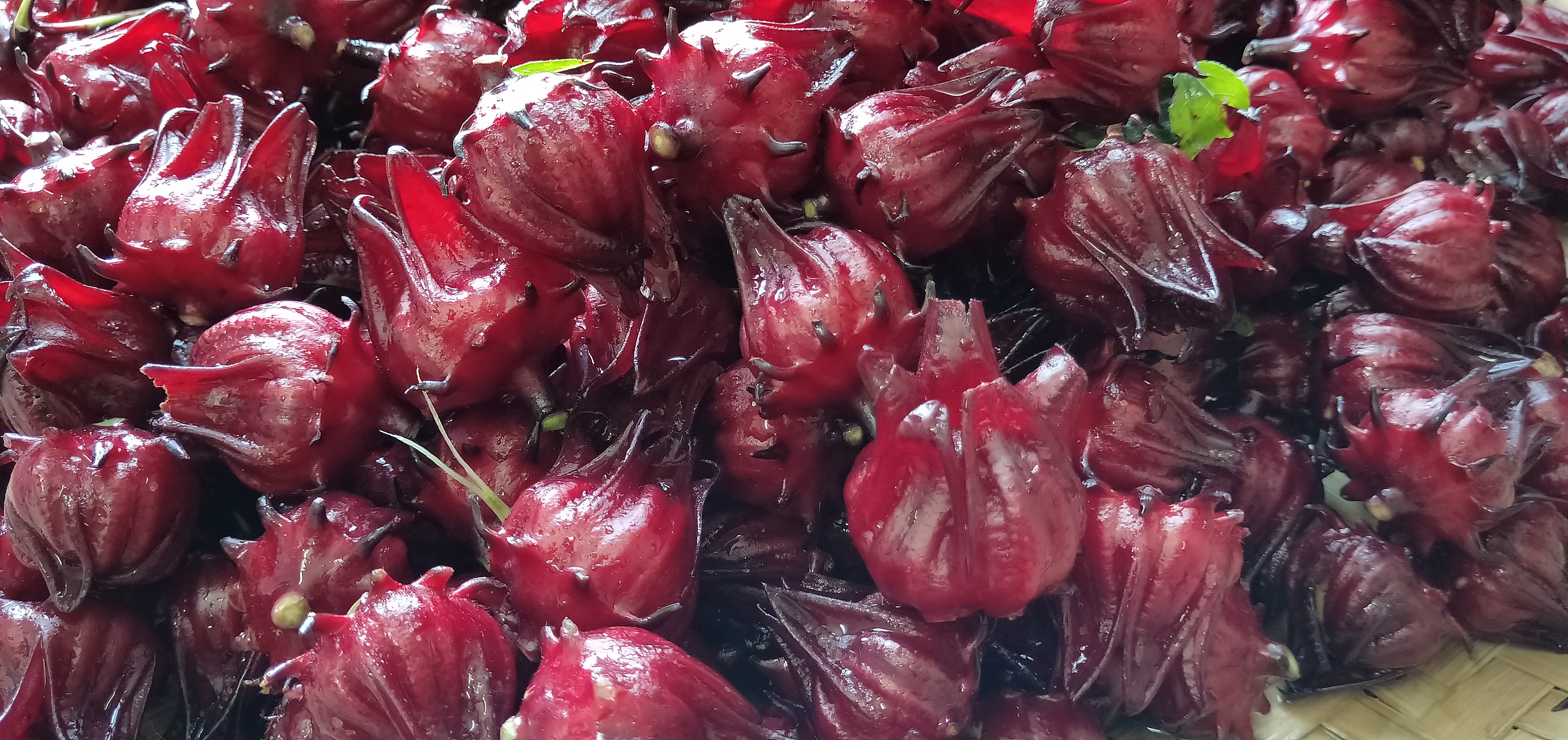 红桃k怎么泡酒好?教你一个简单的做法,补血又美颜