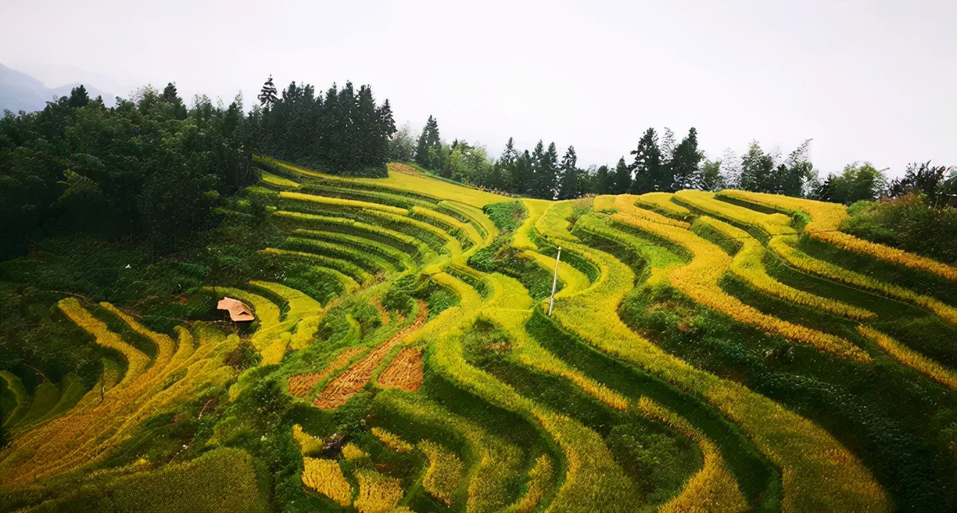 用数据揭晓，国庆最坑的旅游景点在哪里？哪些景点冷门却值得一去