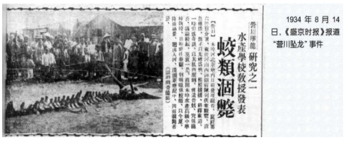 真龙降临东北轰动全国，老人意外得到5块龙骨，