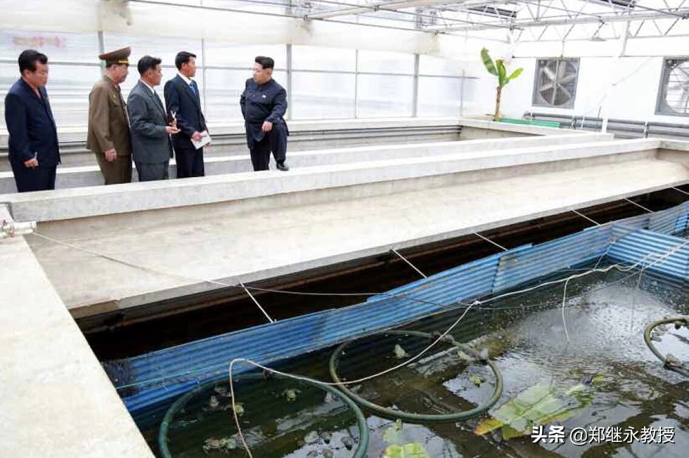 金正恩執政風格大轉型：敢愛敢恨