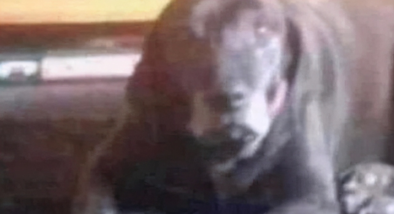 错觉图：是狗还是背着包的人，全球网友意见不