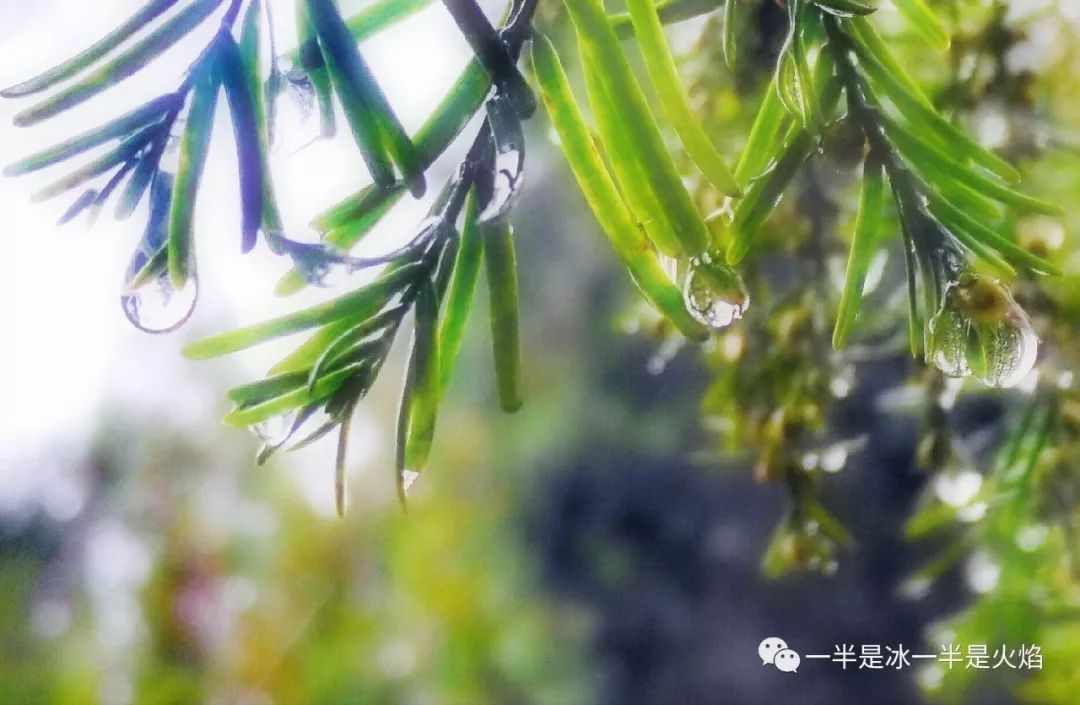 散文诗：秋天，适合一场说走就走的旅行-第6张图片-非凡网