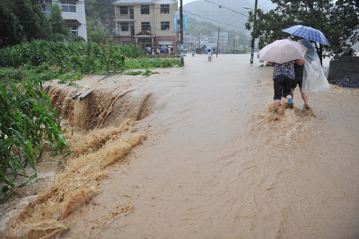 河南暴雨！300多万亩农田受灾，粮食减产或成定局，价格会涨吗？