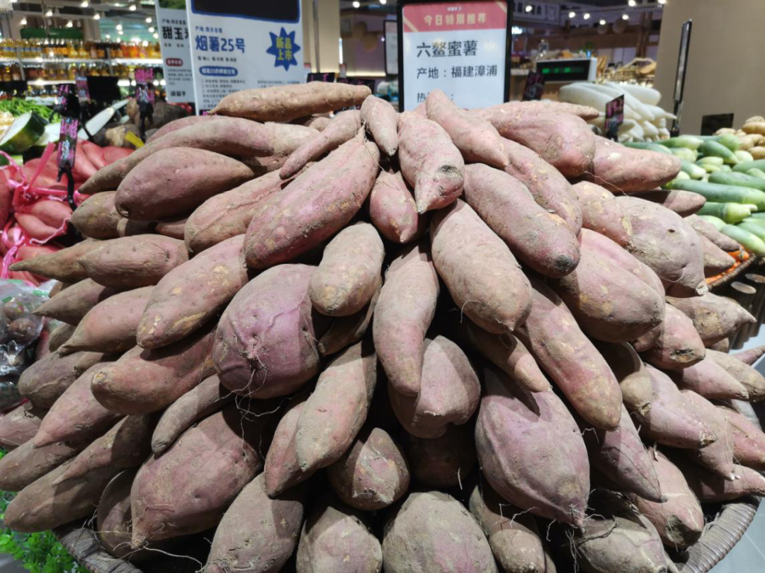 1300ƽ�վ�����20���򣡰�����������������ߵĵ���֮·