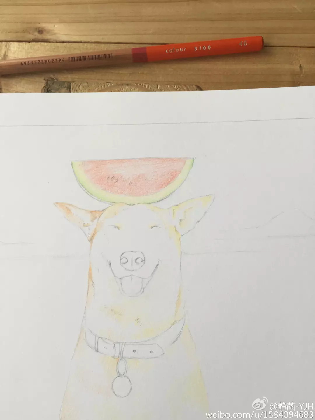 彩鉛動物入門教程｜可愛逗B狗(馬可帶色號)