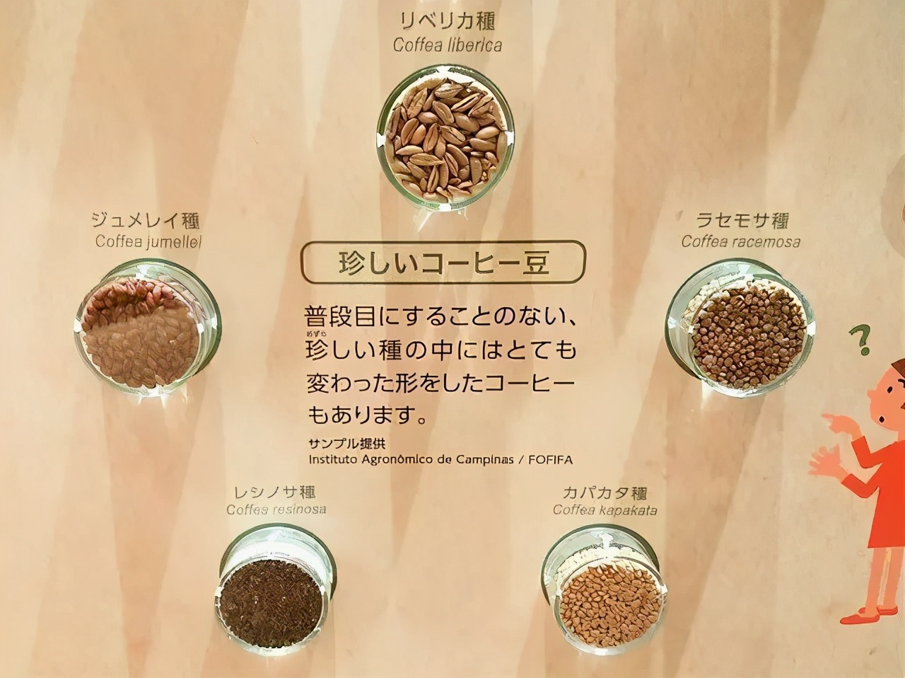 日本美食工业旅游：精彩纷呈，体验丰富
