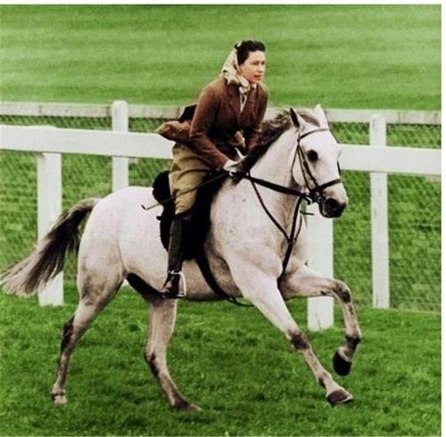 “唐顿庄园”的主人，英女王随叫随到的蓝颜知