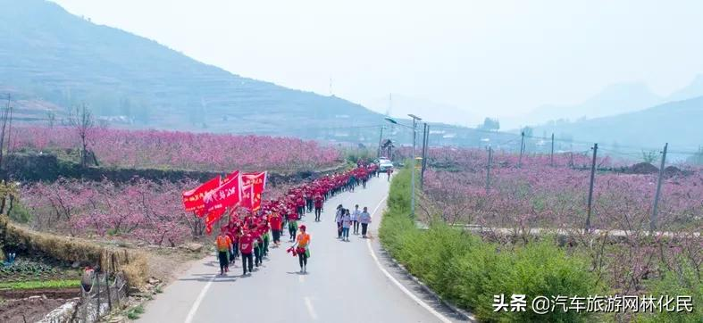 万亩桃花含苞待放，岱崮地貌等你来约