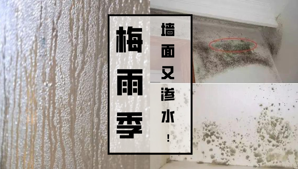 科普 ┃ 为什么墙面会渗水？┃ 南京装修