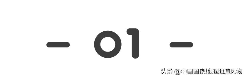 Person of 100 million Shandong, it is the child of the steamed bread