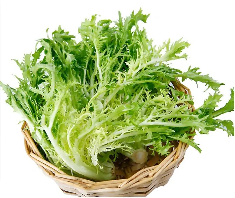 头伏吃饺子，你吃过不放姜不打花椒水但是味道更鲜甜的饺子吗？