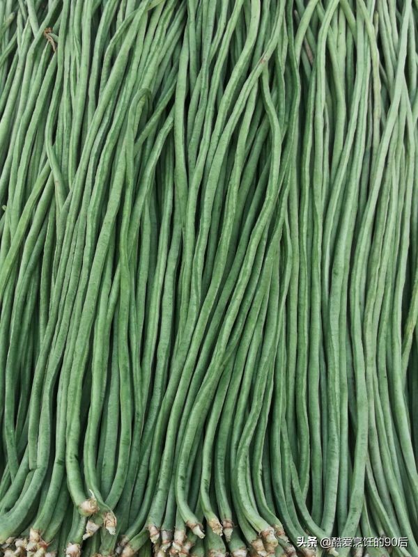 醃酸豆角要焯水嗎？ 教你傳統的做法，酸豆角夠酸夠爽脆，還不生花