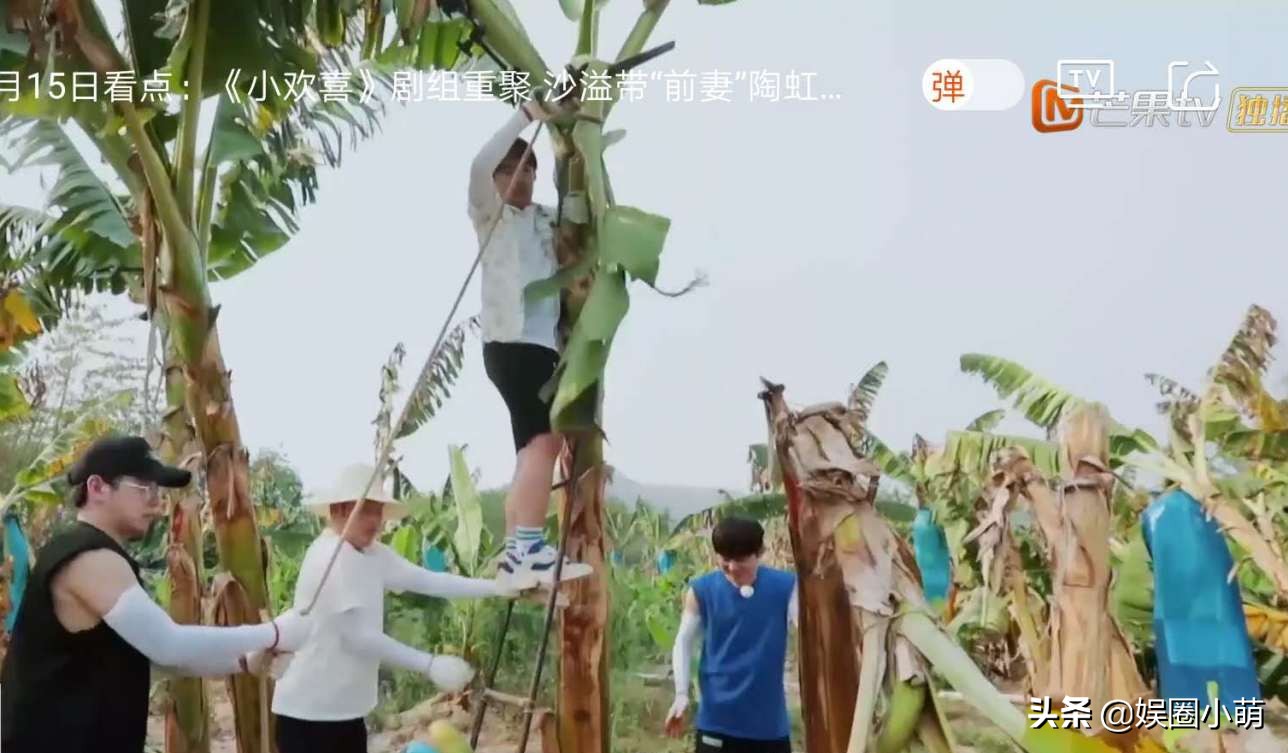 《向往的生活4》滤镜到底多重？看这个杯子就知