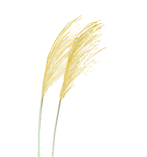 Small happiness | Those who record the life is small I hope truly -- crepuscular piece