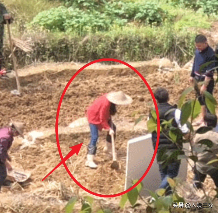 赵丽颖干农活路透曝光，看清她脚下的鞋子，有