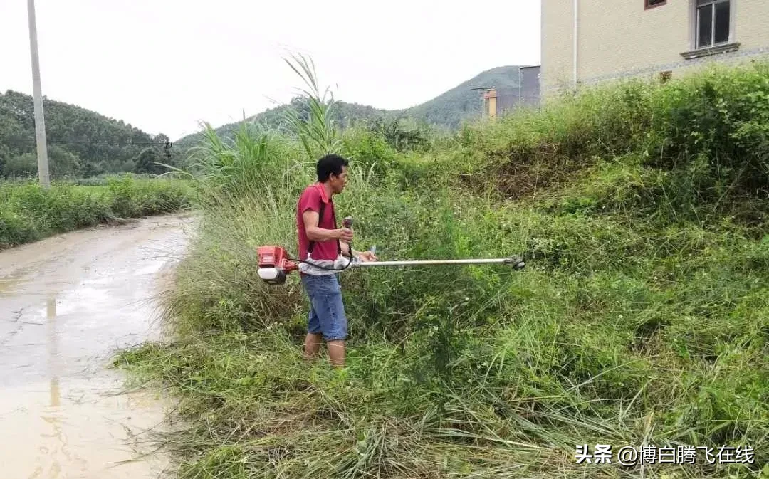 超赞！国庆假期博白乡村最美的风景线