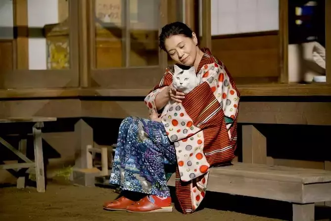 是谁来自山川湖海,八美《食女》却囿于昼夜,厨房与爱