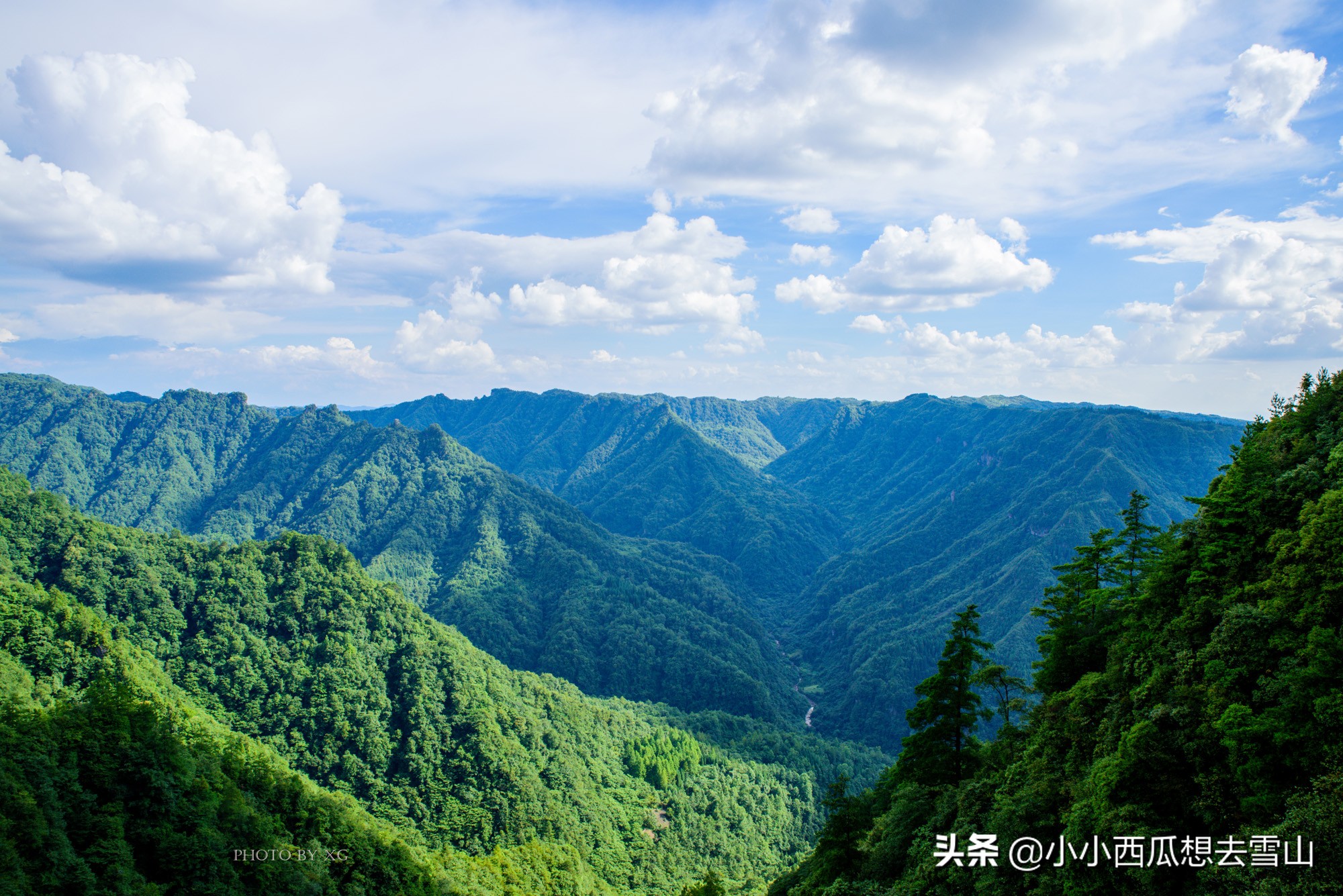 重庆最美的原始森林，是理想的避暑胜地之一，夏季平均气温在20℃