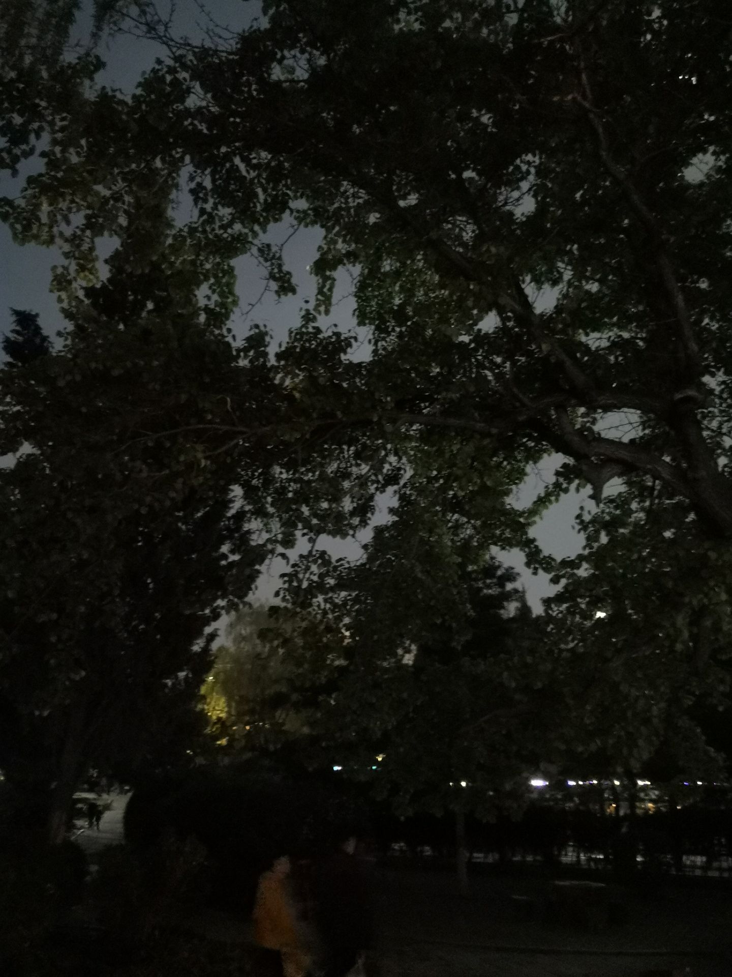 荣耀30：一半遗憾，一半邂逅