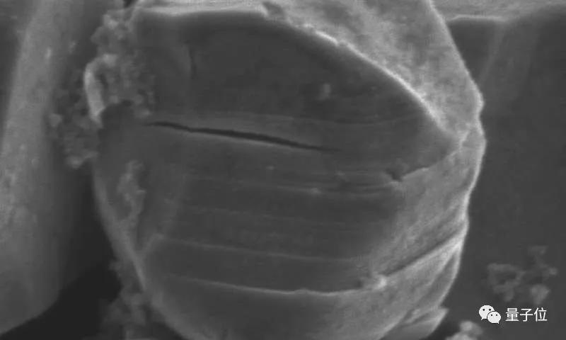 Science封面：三元鋰電池安全性差、壽命短問題已解決