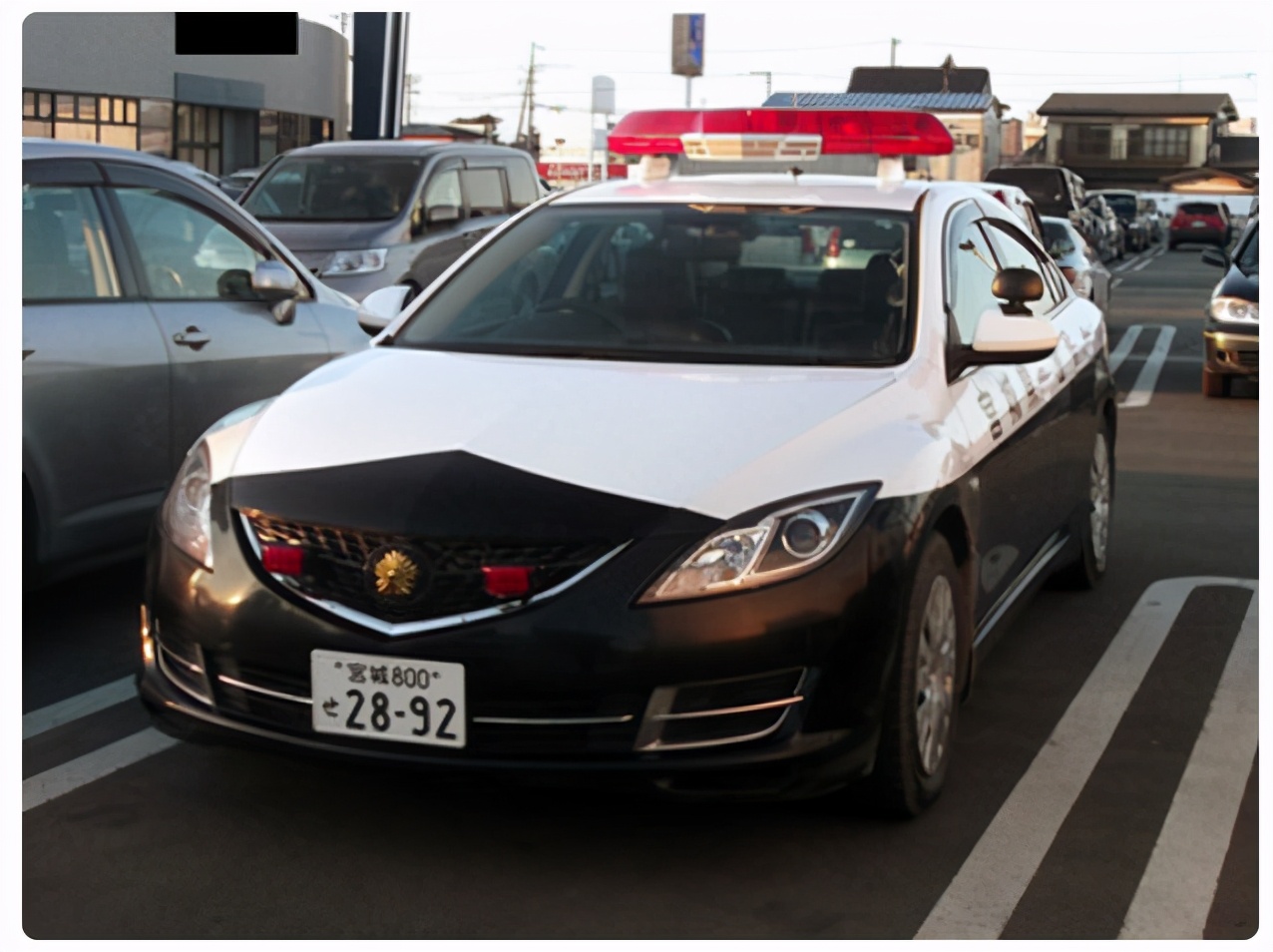 日本警车型号都在这了，丰田本田马自达，全是