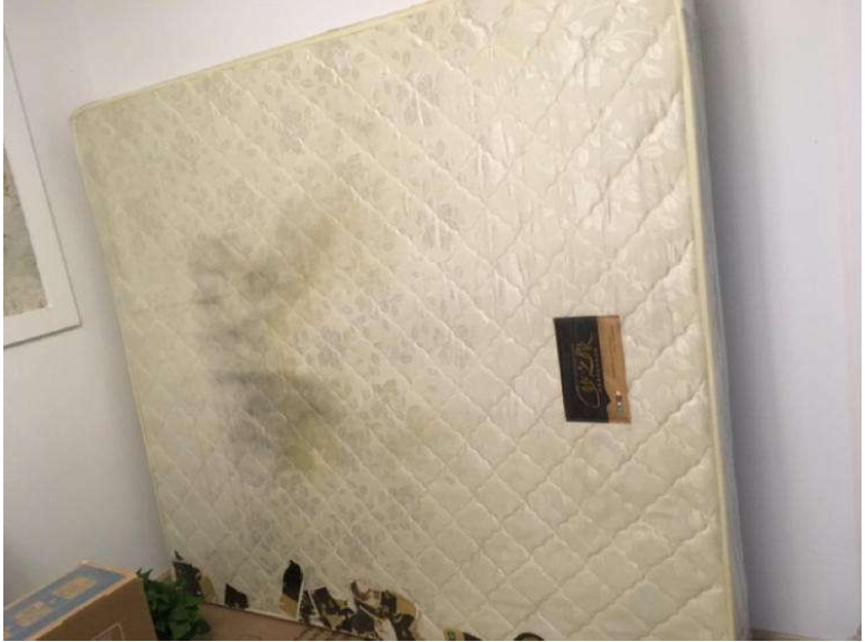 家里这些特别隐秘的卫生死角，可能是你身体怪
