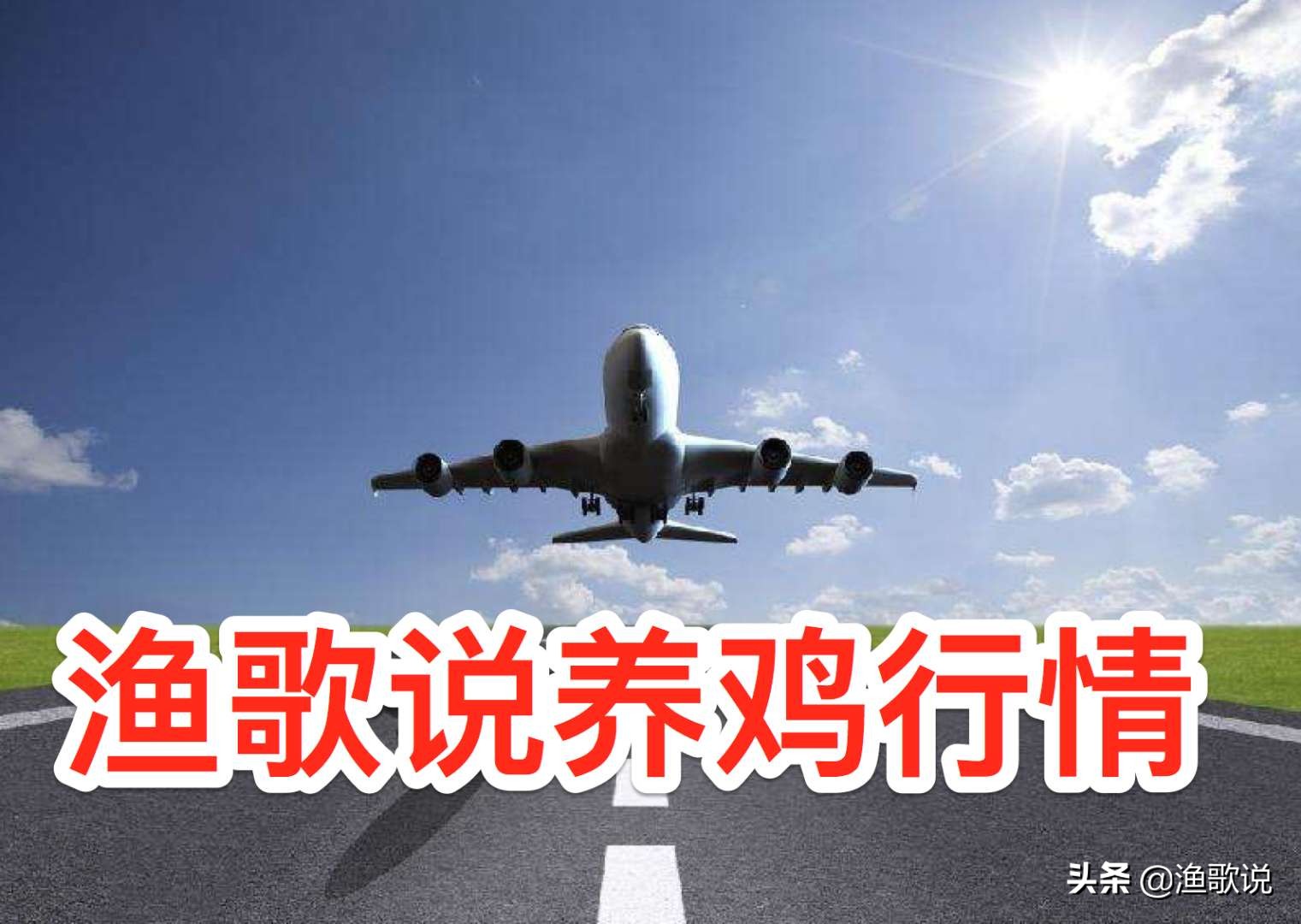 肉鸡全环节落价毛猪挣扎国鸡强势上涨鸡蛋还能