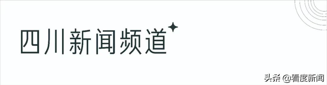 火遍全网、万人打卡的狮子王，我们找到了他的“幕后老大”