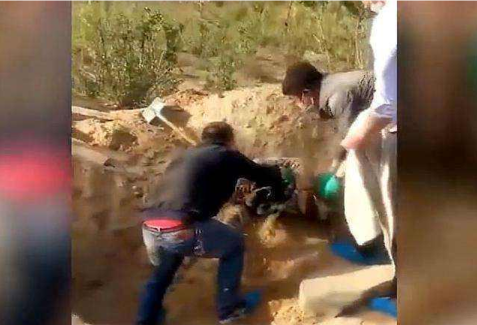 "十恶不赦"究竟是哪十恶？陕西活埋老母