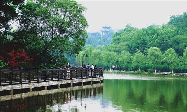 在最新世界和国内大学排行榜中，重庆大学的排位和影响力如何？