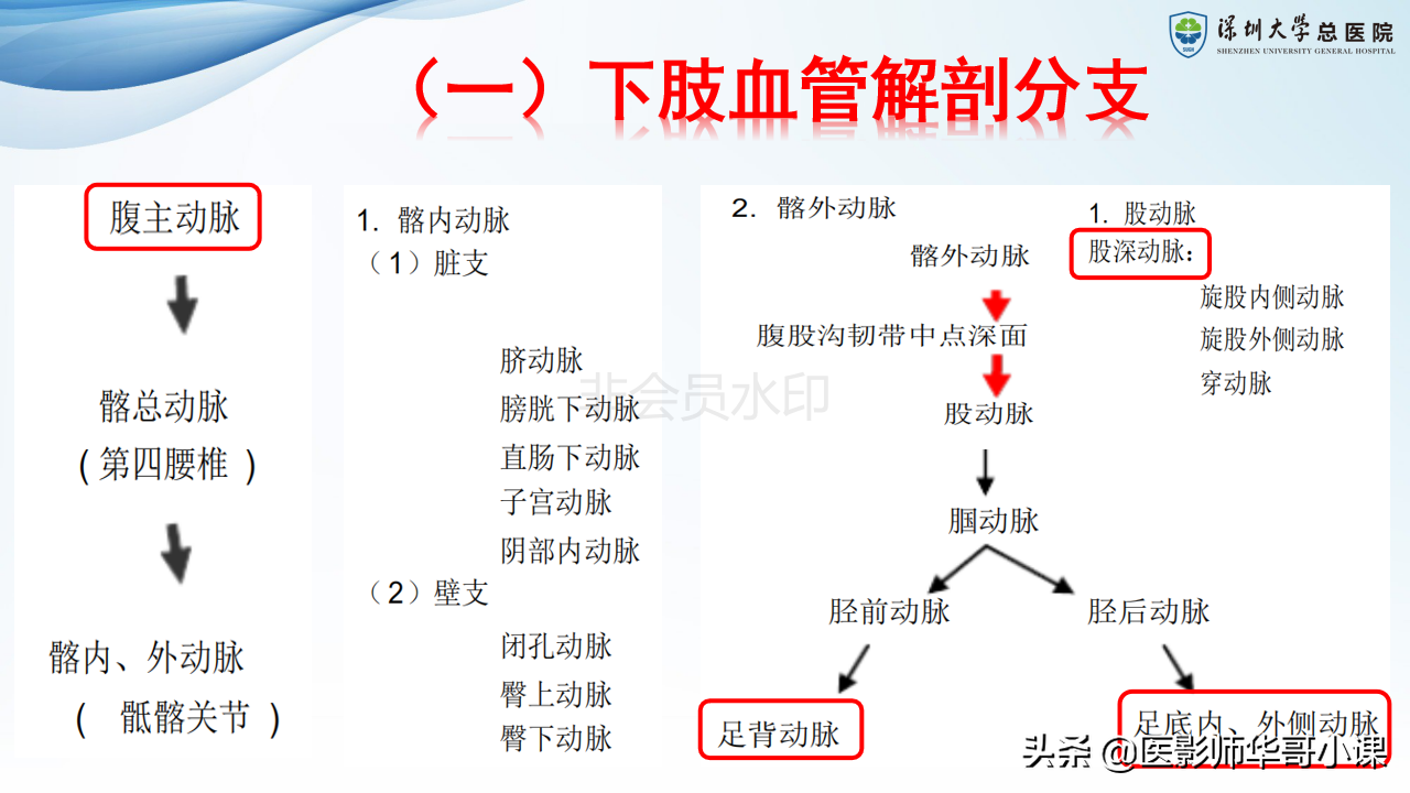磁共振非增强双下肢血管MRA