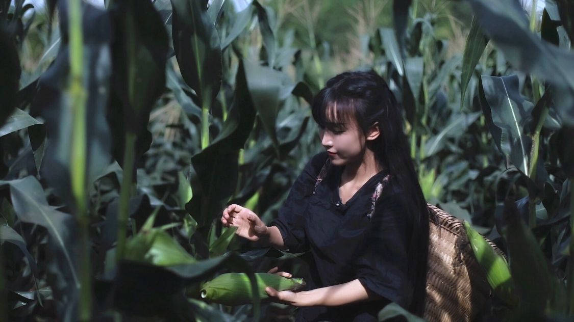 网络水军有偿删帖获刑，李子柒被指拿钱消灾，