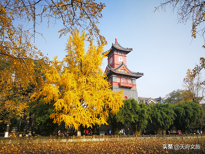 厉害！四川大学新增两学科进入全球前1%