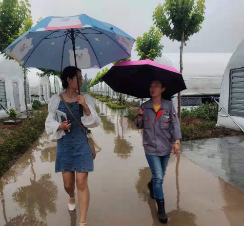 ”菌”临天下——小蘑菇敲开乡村振兴致富门