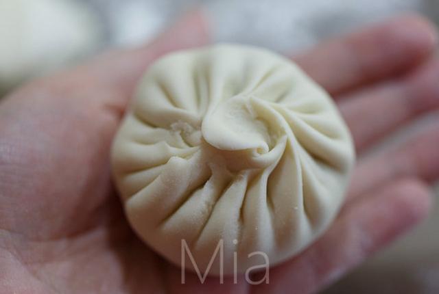 圖片[6]-包子的做法步驟圖 很少人知道的包餃子配方-起舞食譜網