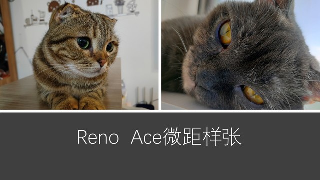 全能王者又将引领安卓新趋势，OPPO Reno Ace评测