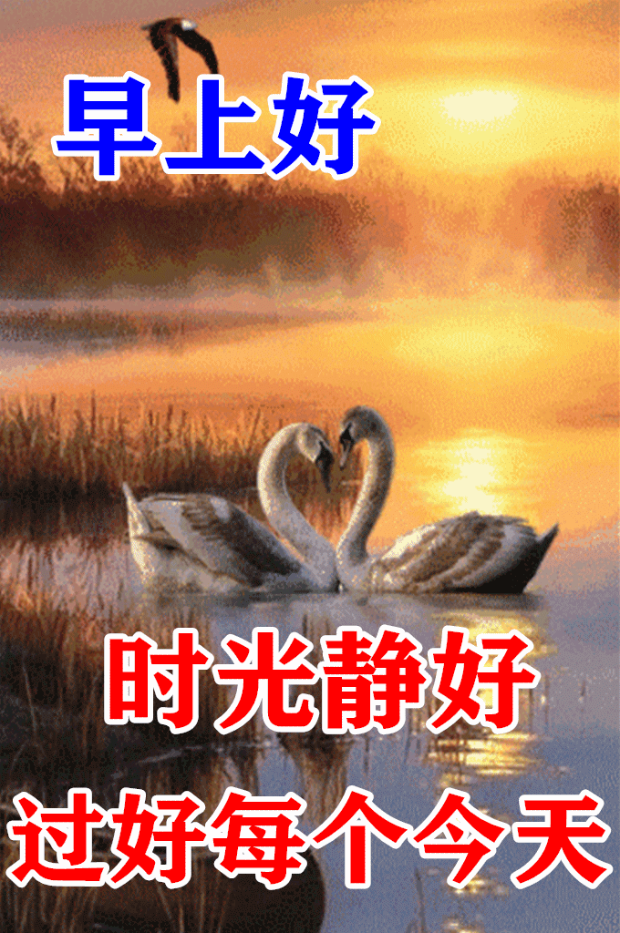 2021年最火的早上好句子，一天一句心情早安语图片