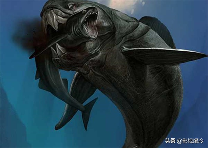 这3种史前生物如果没有灭绝，人类谁敢进入海洋