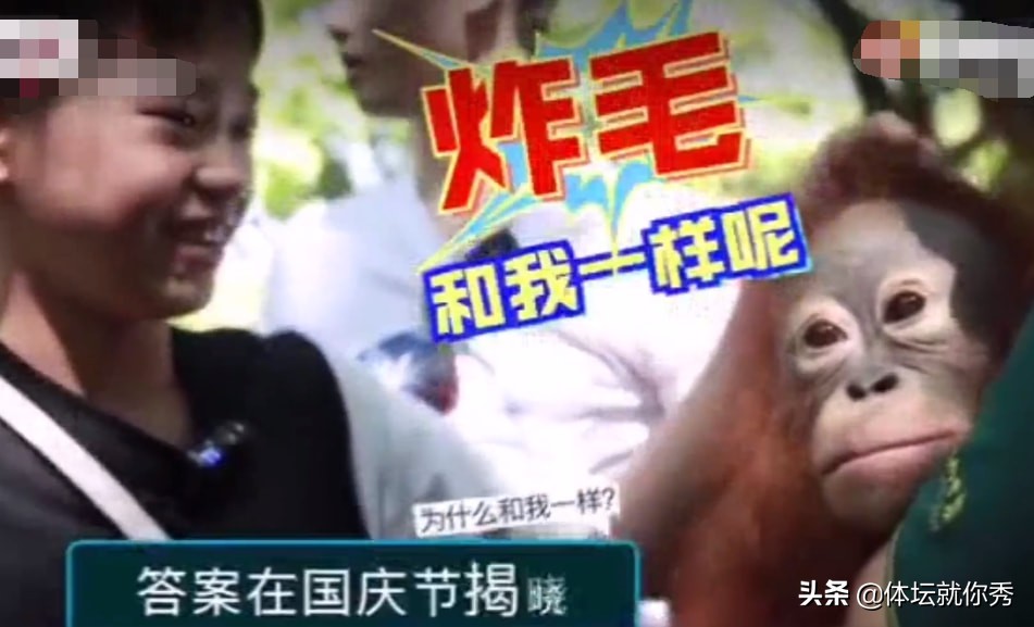 全红婵游玩视频曝光！被吓得花容失色，高呼：我来也，何威仪陪同