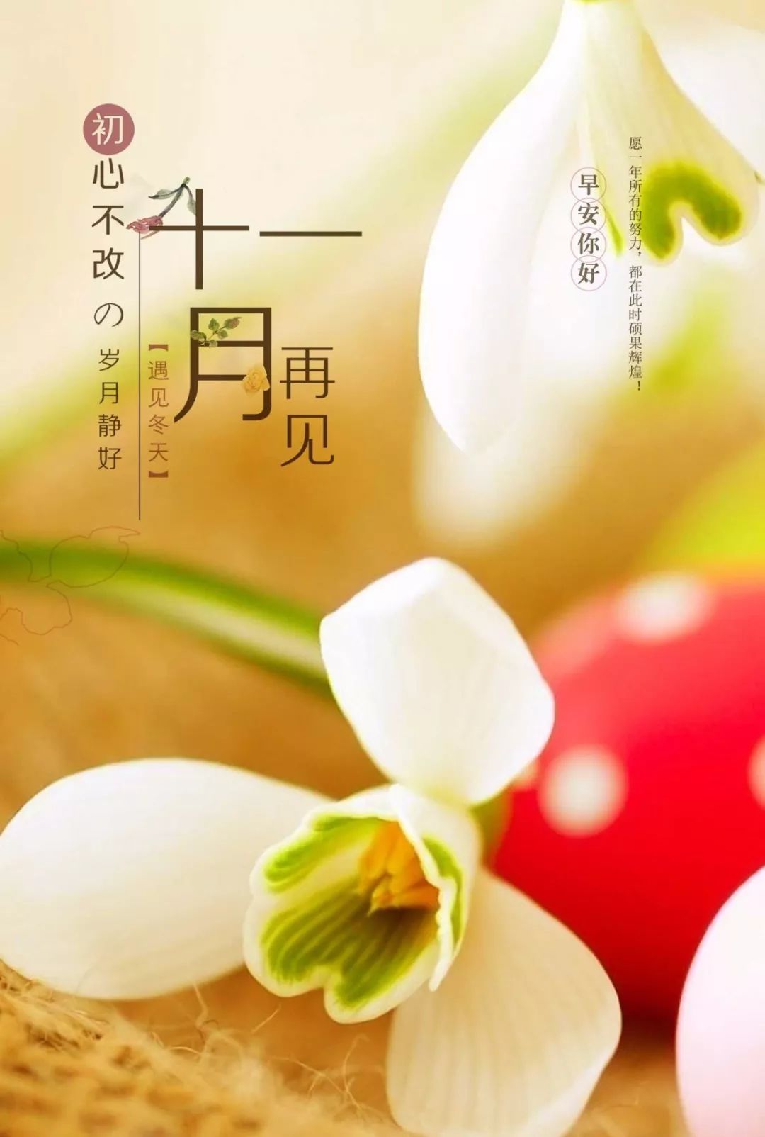 你好优美句子_十二月你好的唯美句子_2021你好唯美句子