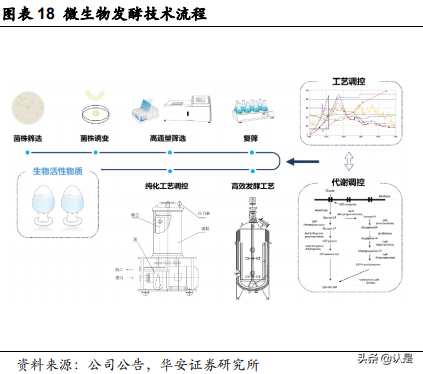 华熙生物深度解析：“技术嫁接”浇灌“HA乔木”茁壮成长